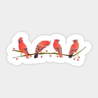 Bohemian Waxwing BW001 Sticker